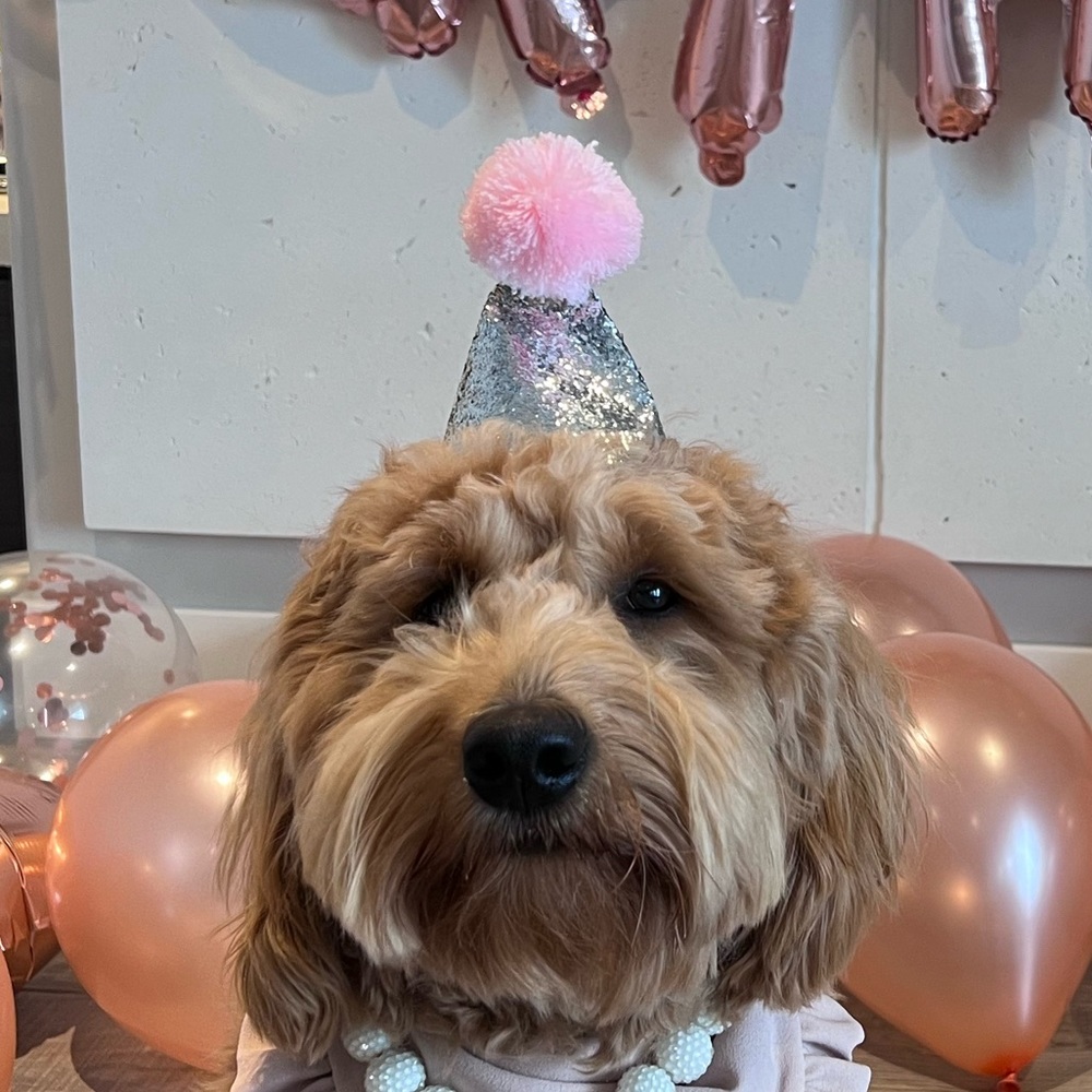 Tella Couture | Birthday Hat